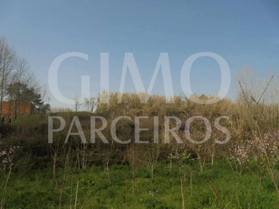 Terreno para Venda em Bustos, Troviscal e Mamarrosa Foto 14