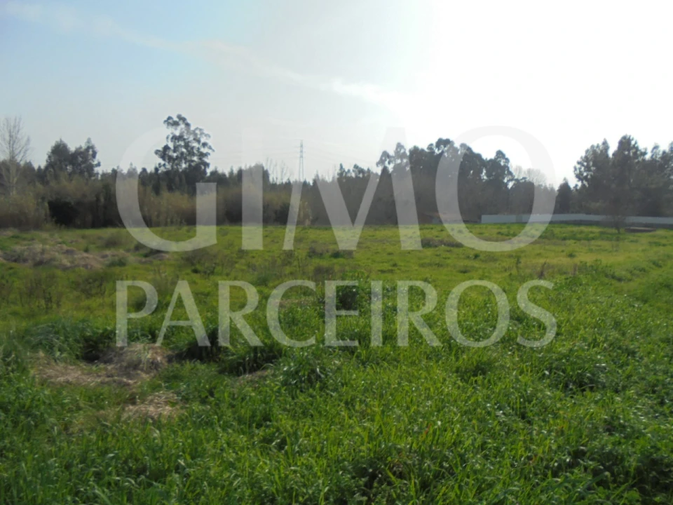 Terreno para Venda em Bustos, Troviscal e Mamarrosa Foto 16