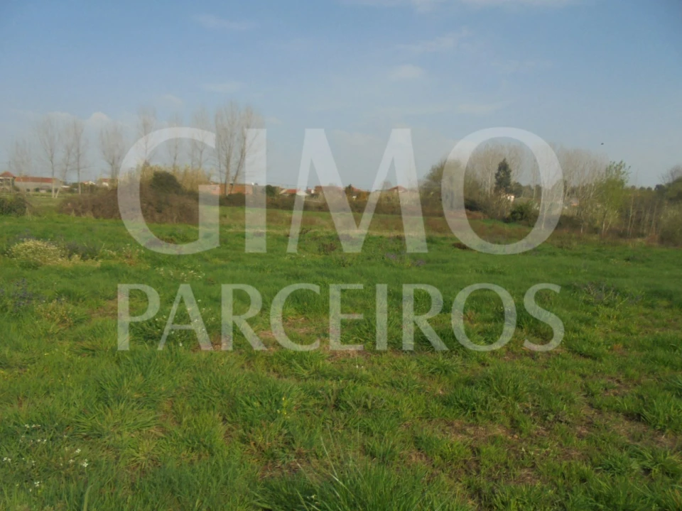 Terreno para Venda em Bustos, Troviscal e Mamarrosa Foto 25