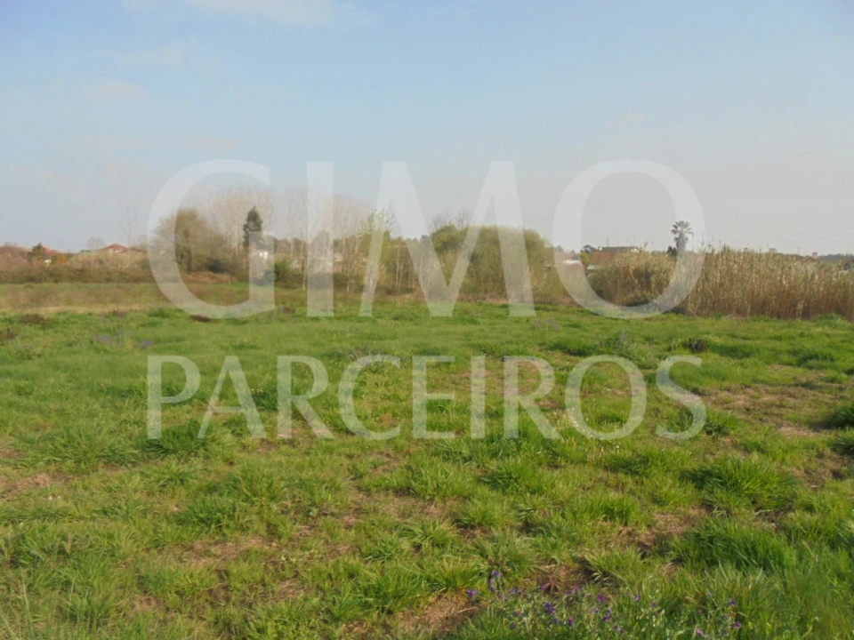 Terreno para Venda em Bustos, Troviscal e Mamarrosa Foto 26