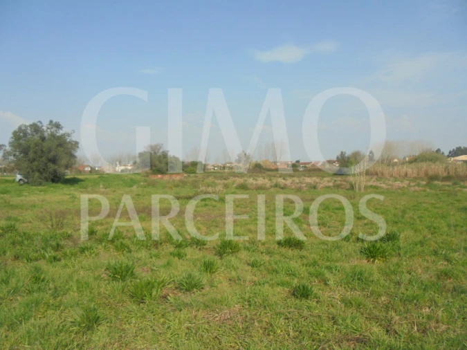 Terreno para Venda em Bustos, Troviscal e Mamarrosa Foto 4