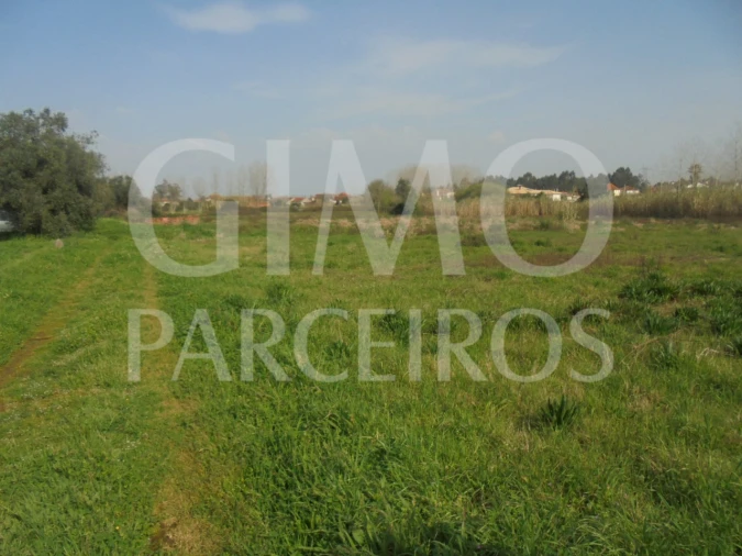 Terreno para Venda em Bustos, Troviscal e Mamarrosa Foto 5
