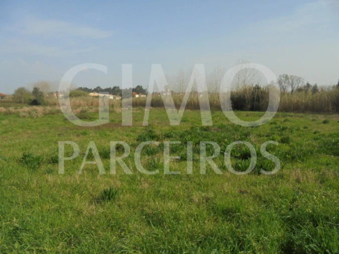 Terreno para Venda em Bustos, Troviscal e Mamarrosa Foto 6