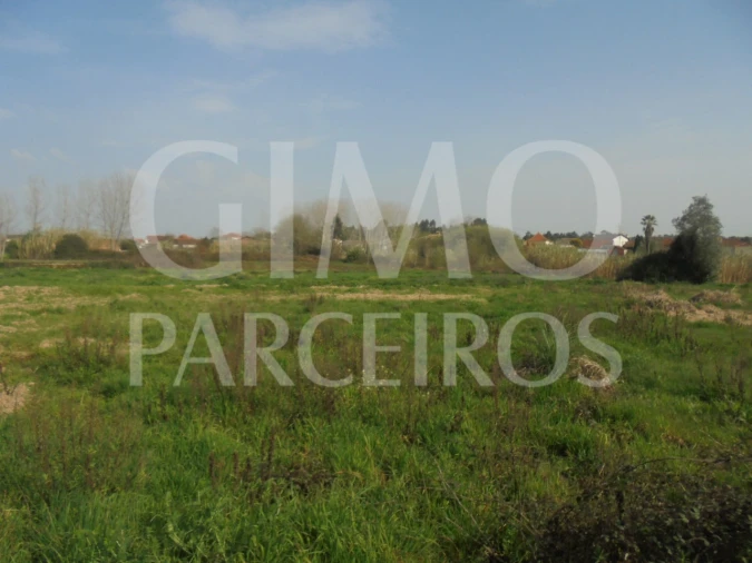 Terreno para Venda em Bustos, Troviscal e Mamarrosa Foto 22