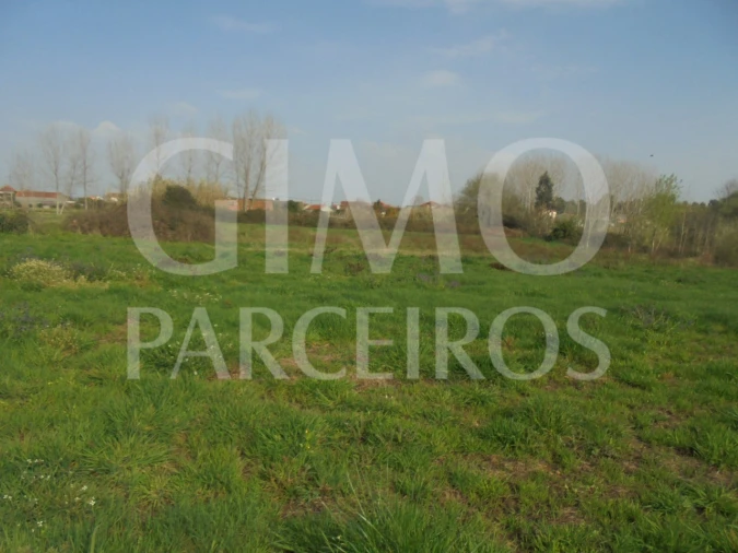 Terreno para Venda em Bustos, Troviscal e Mamarrosa Foto 25