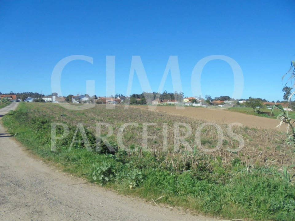 Terreno para Venda em Oiã Foto 11