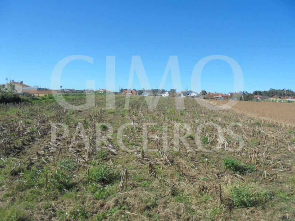 Terreno para Venda em Oiã Foto 12