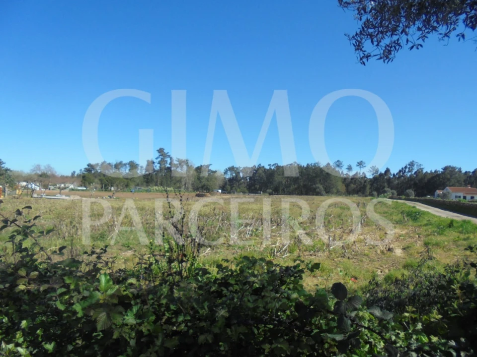 Terreno para Venda em Oiã Foto 16