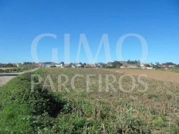 Terreno para Venda em Oiã