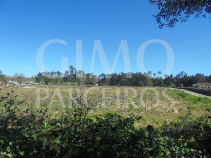 Terreno para Venda em Oiã Foto 16