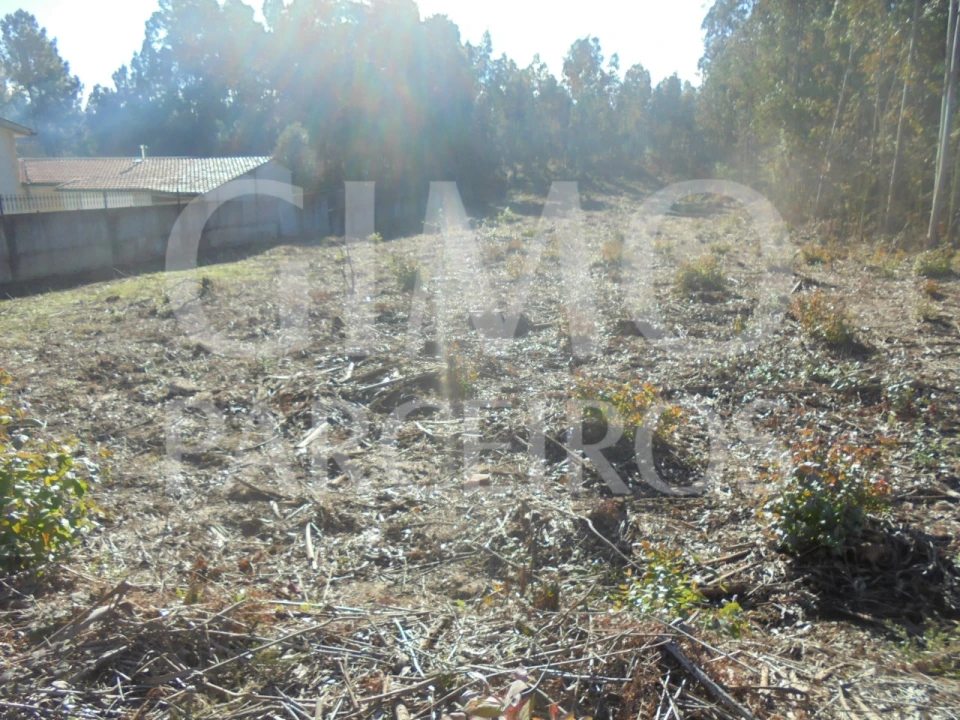 Terreno para Venda em Sangalhos Foto 1
