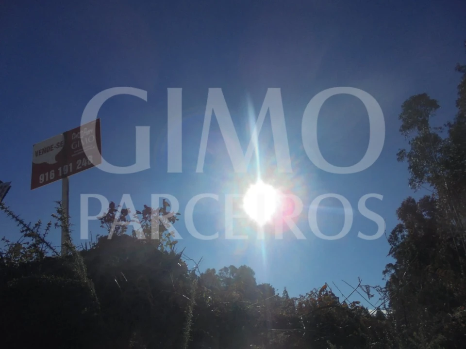 Terreno para Venda em Sangalhos Foto 6