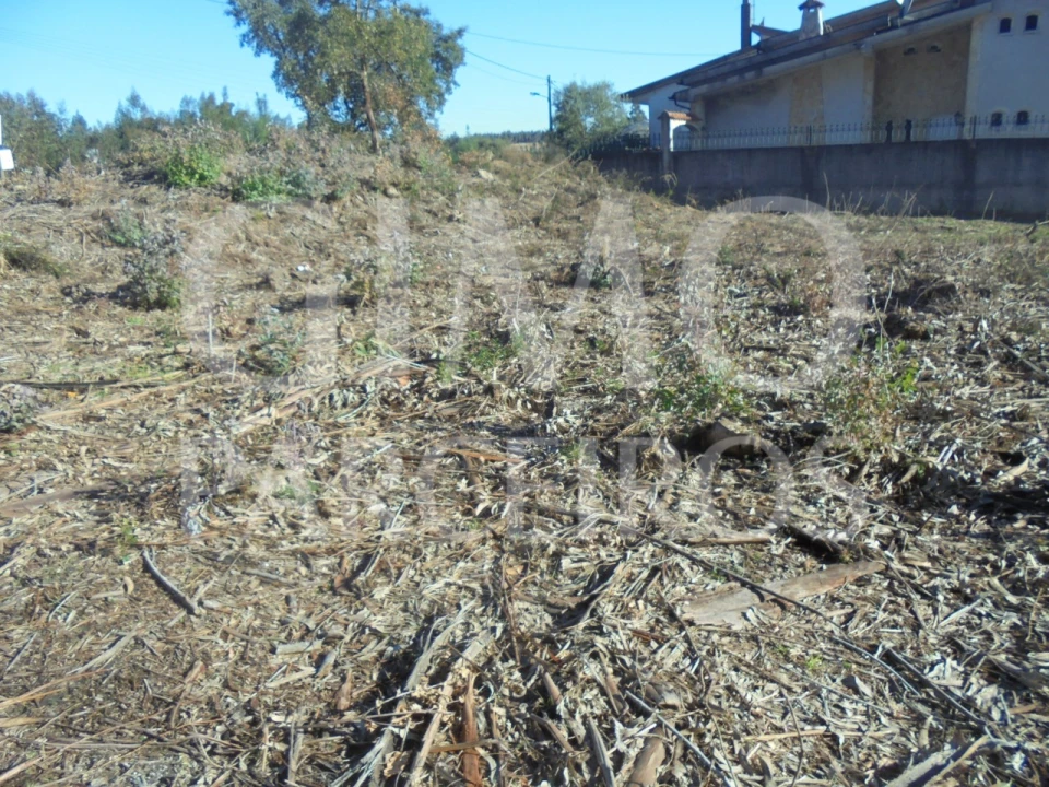 Terreno para Venda em Sangalhos Foto 9