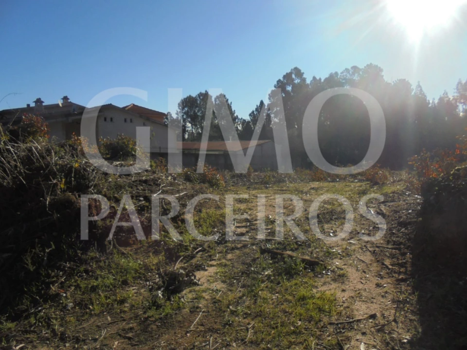 Terreno para Venda em Sangalhos Foto 11