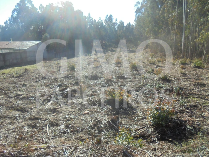 Terreno para Venda em Sangalhos Foto 3