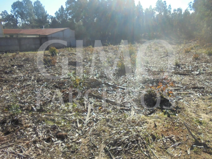 Terreno para Venda em Sangalhos Foto 4