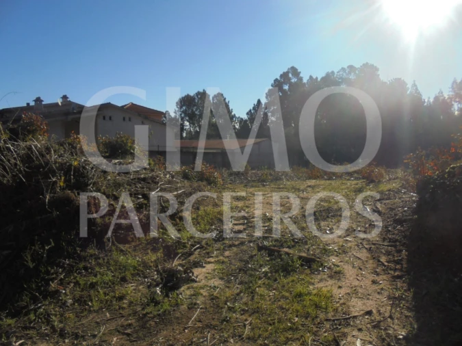 Terreno para Venda em Sangalhos Foto 5