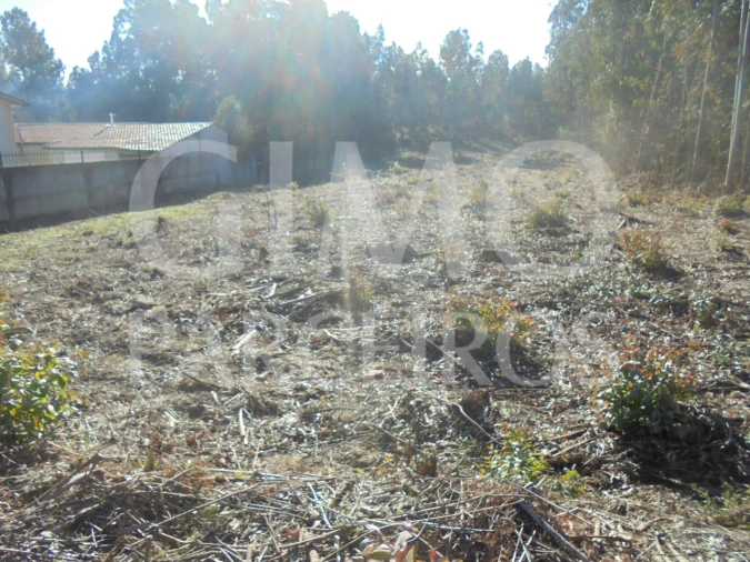 Terreno para Venda em Sangalhos Foto 7
