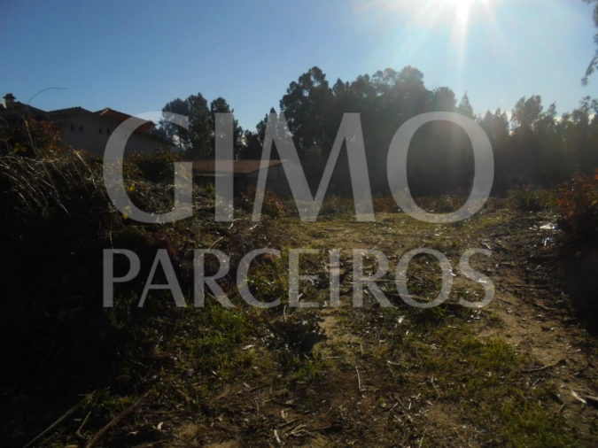 Terreno para Venda em Sangalhos Foto 10