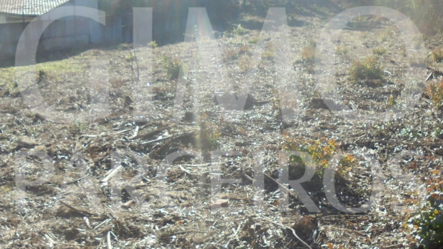 Terreno para Venda em Sangalhos