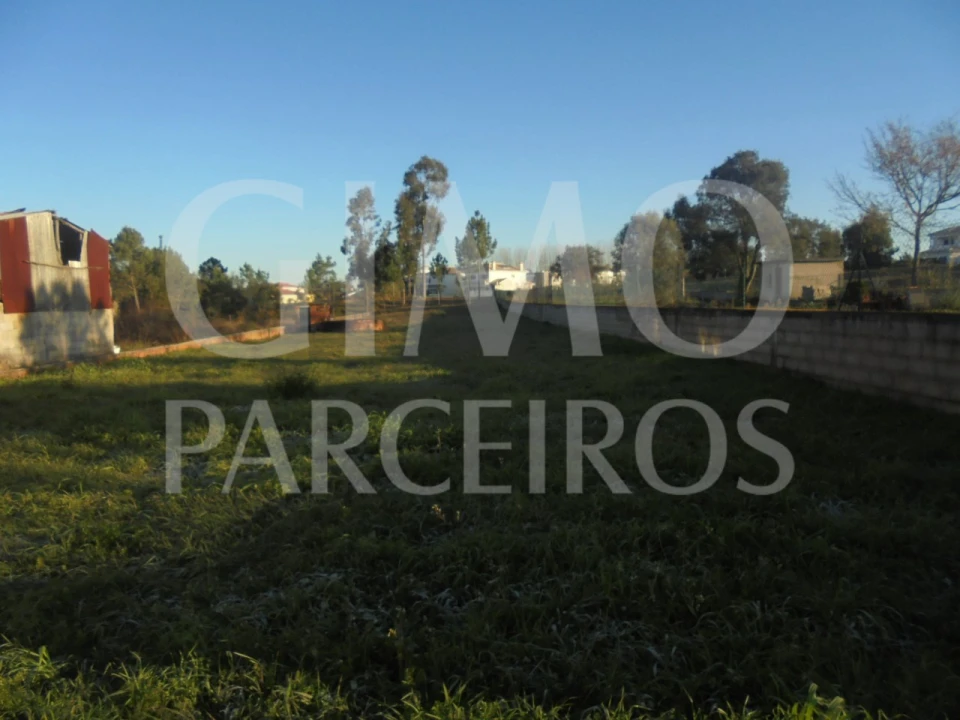 Terreno para Venda em Oiã Foto 1