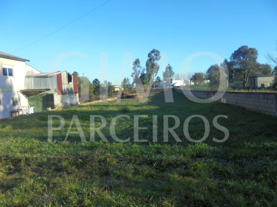 Terreno para Venda em Oiã Foto 3
