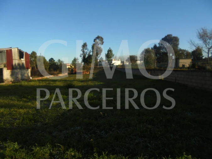 Terreno para Venda em Oiã Foto 2