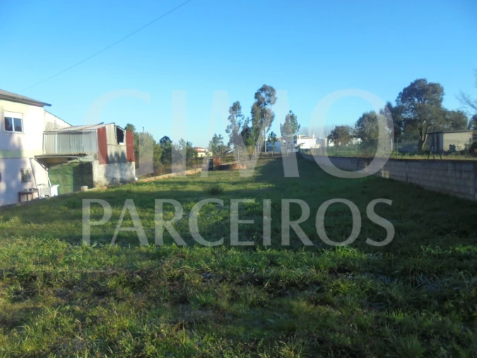 Terreno para Venda em Oiã Foto 3