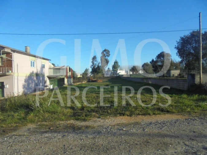 Terreno para Venda em Oiã Foto 4