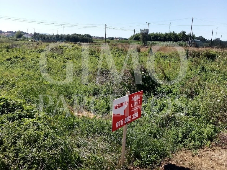 Terreno para Venda em Bustos, Troviscal e Mamarrosa Foto 6