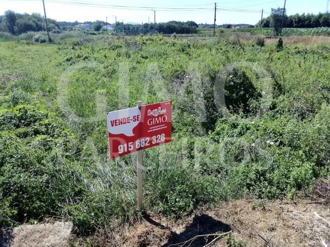 Terreno para Venda em Bustos, Troviscal e Mamarrosa Foto 3