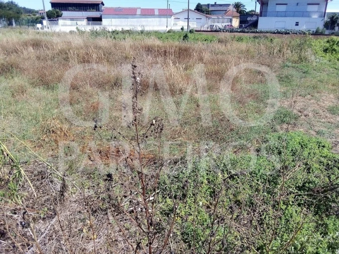 Terreno para Venda em Bustos, Troviscal e Mamarrosa Foto 5