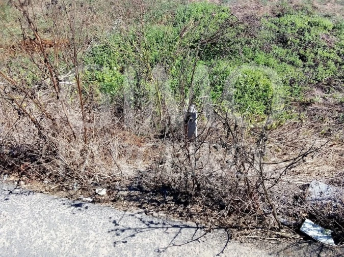 Terreno para Venda em Bustos, Troviscal e Mamarrosa Foto 7