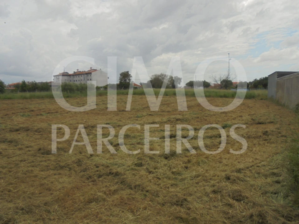 Terreno para Venda em Oiã Foto 3