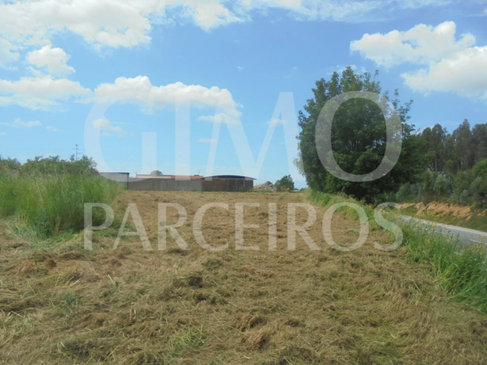 Terreno para Venda em Oiã Foto 5