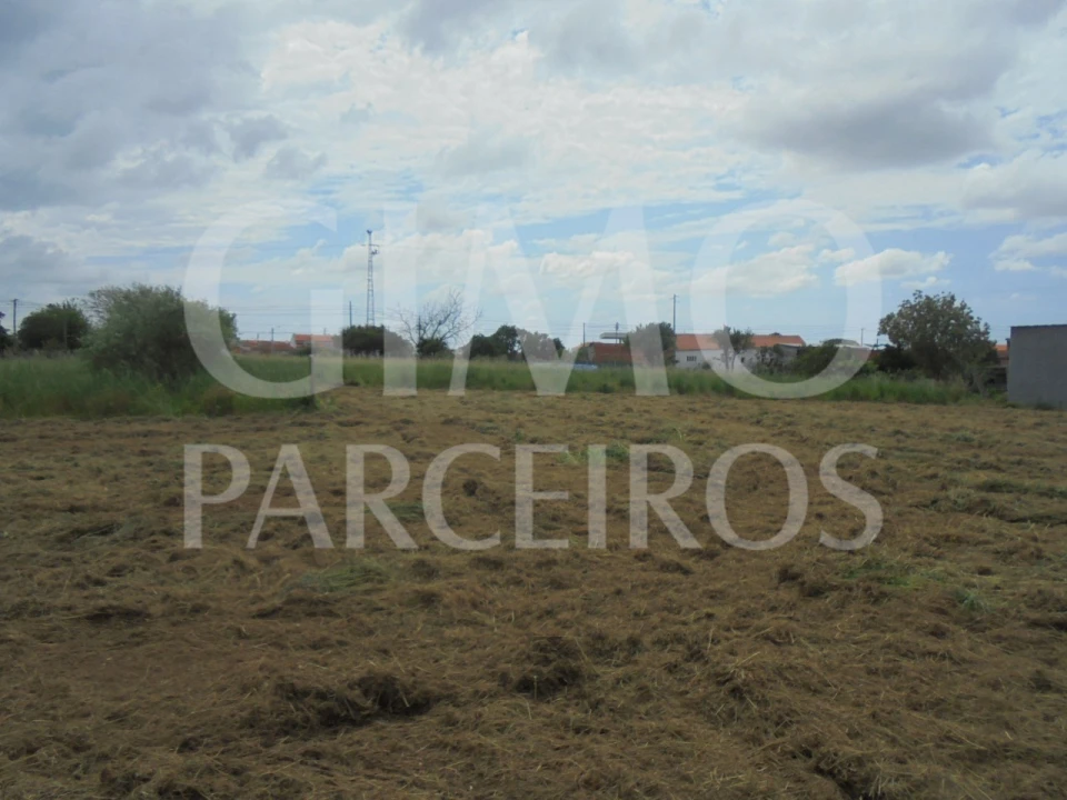 Terreno para Venda em Oiã Foto 7