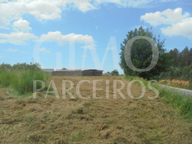 Terreno para Venda em Oiã Foto 1