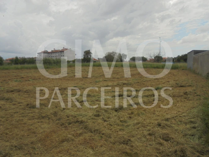 Terreno para Venda em Oiã Foto 3