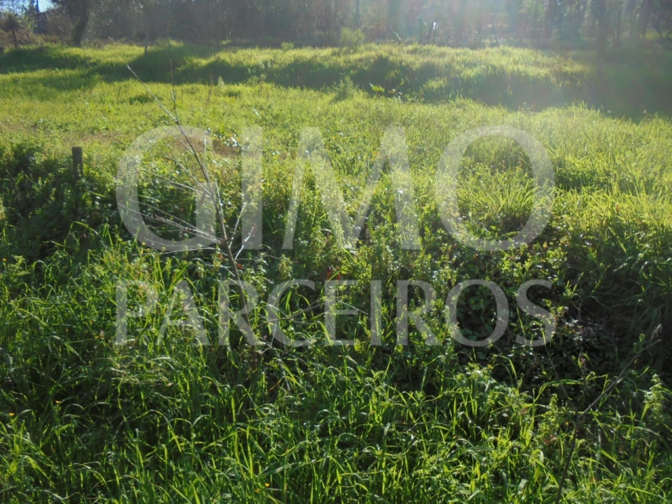 Terreno para Venda em Recardães e Espinhel Foto 2