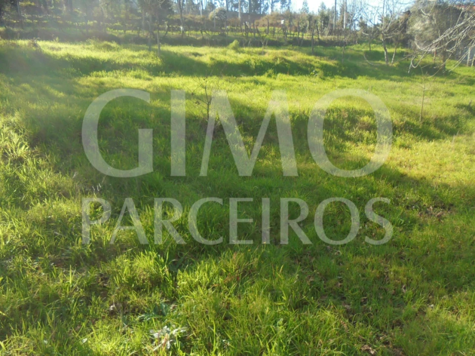 Terreno para Venda em Recardães e Espinhel Foto 3