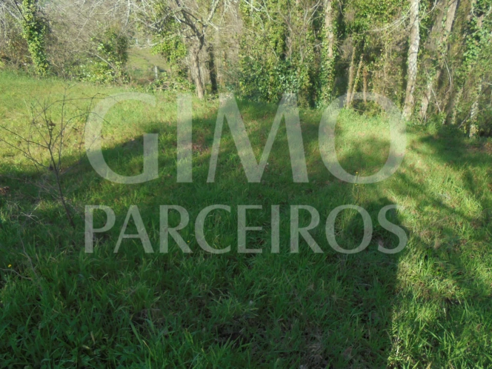 Terreno para Venda em Recardães e Espinhel Foto 5