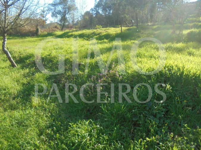 Terreno para Venda em Recardães e Espinhel Foto 1