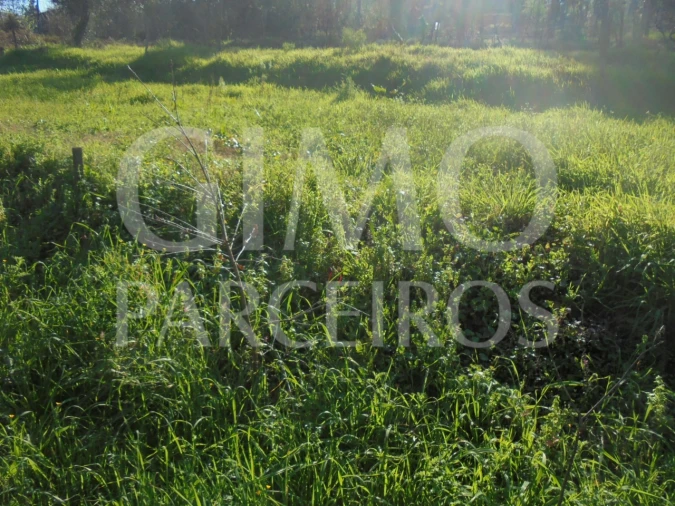 Terreno para Venda em Recardães e Espinhel Foto 2