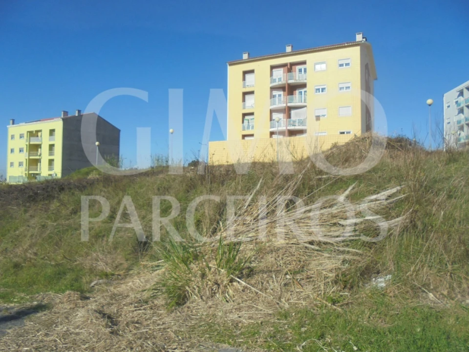 Terreno para Venda em Oliveira do Bairro Foto 1