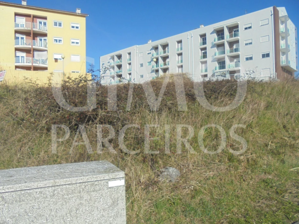 Terreno para Venda em Oliveira do Bairro Foto 4