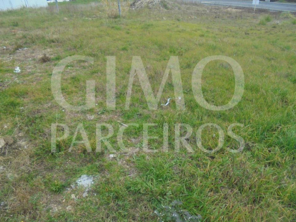 Terreno para Venda em Oliveira do Bairro Foto 6