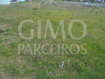 Terreno para Venda em Oliveira do Bairro