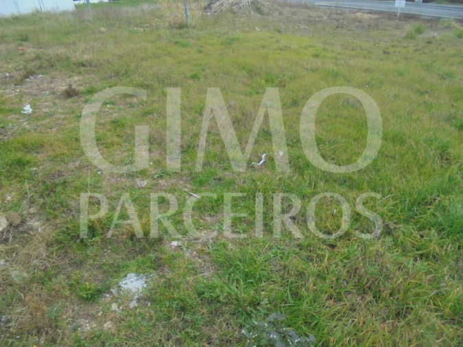 Terreno para Venda em Oliveira do Bairro Foto 6