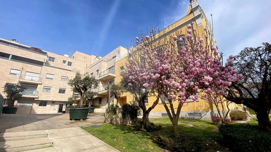 Apartamento T5 para Venda em Cedofeita, Santo Ildefonso, Sé, Miragaia, São Nicolau e Vitória Foto 9