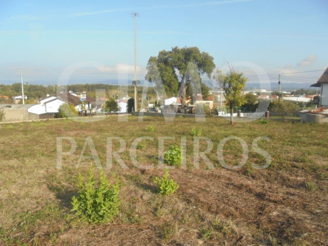 Terreno para Venda em Barrô e Aguada de Baixo Foto 4